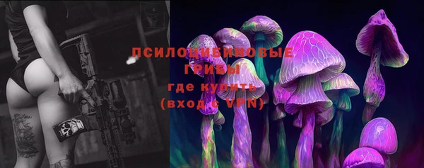 прущие грибы Абаза