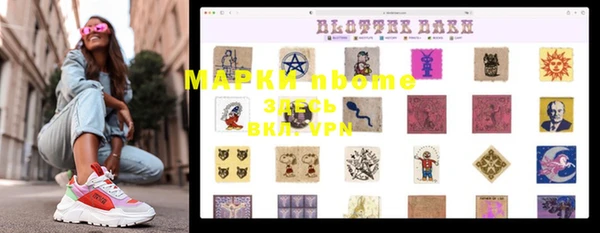 прущие грибы Абаза