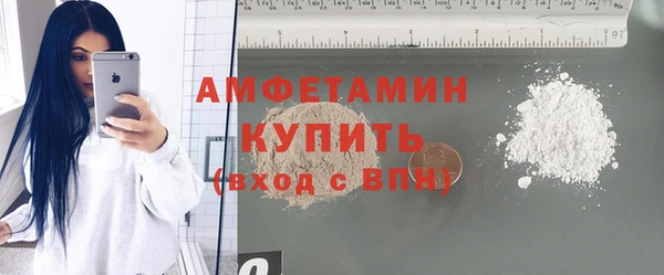 прущие грибы Абаза