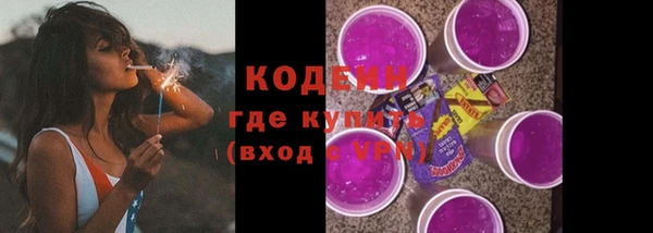 прущие грибы Абаза