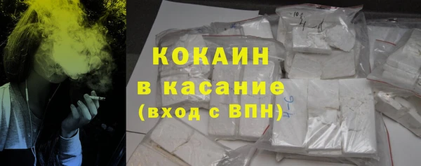 прущие грибы Абаза