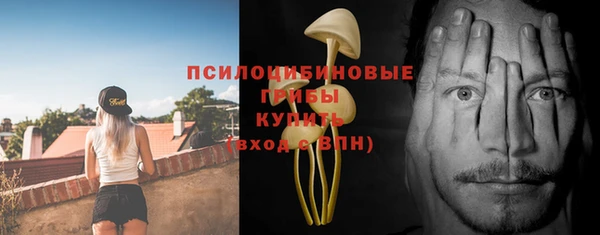 прущие грибы Абаза