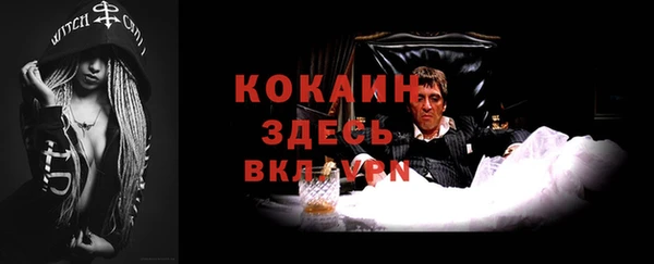 прущие грибы Абаза