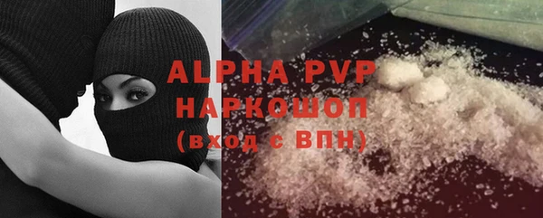 прущие грибы Абаза