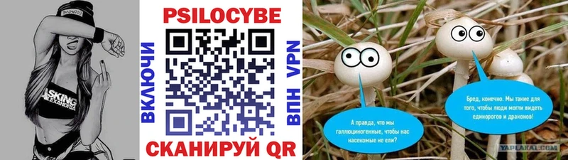 кракен ссылки  Разумное  Галлюциногенные грибы Psilocybine cubensis 